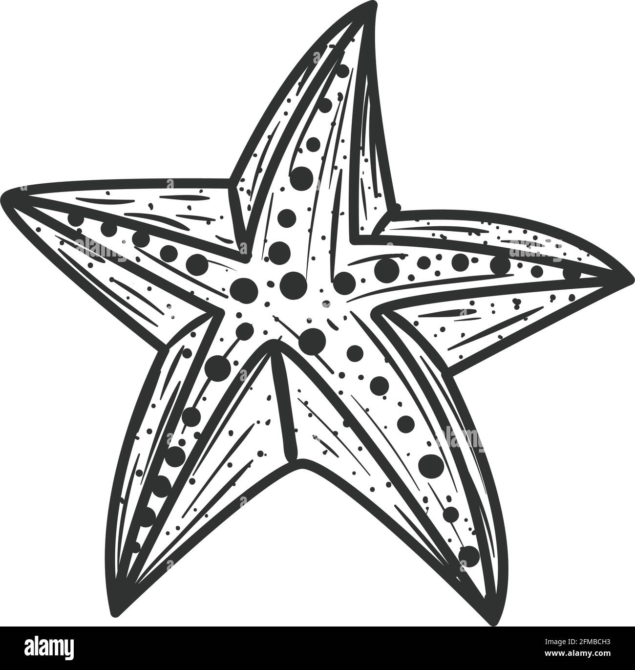 Sea starfish on white background Stock Vector Image & Art - Alamy