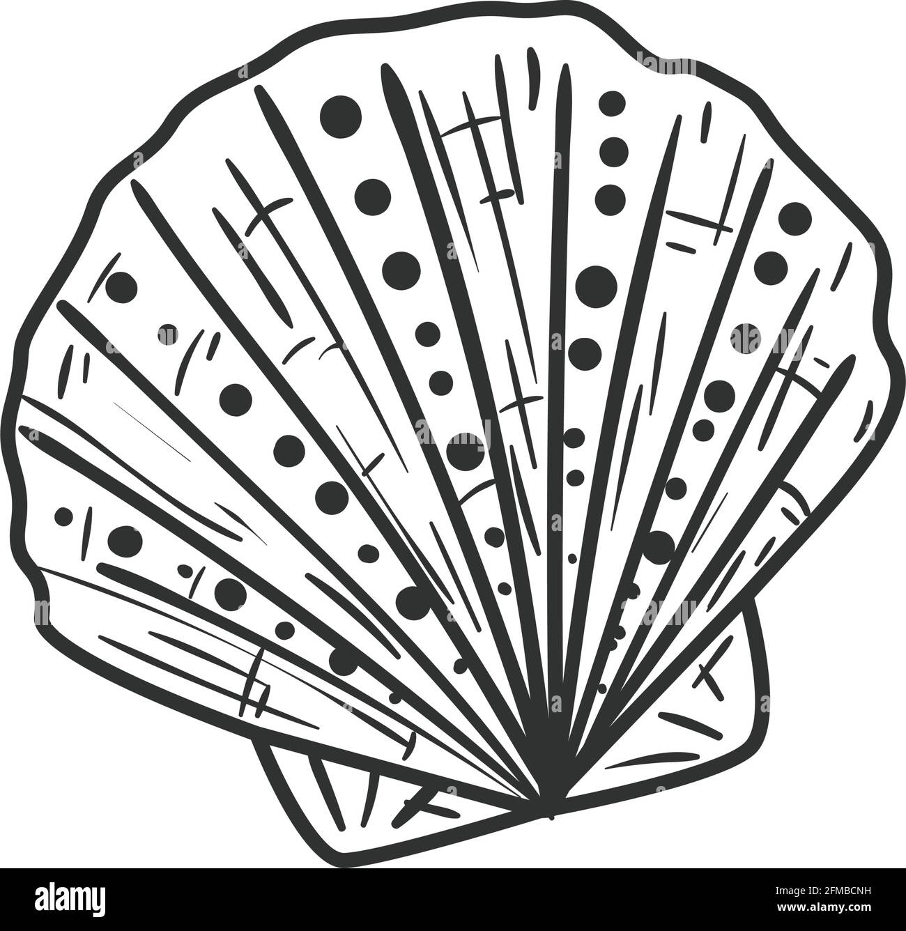 Sea shell on white background Stock Vector Image & Art - Alamy
