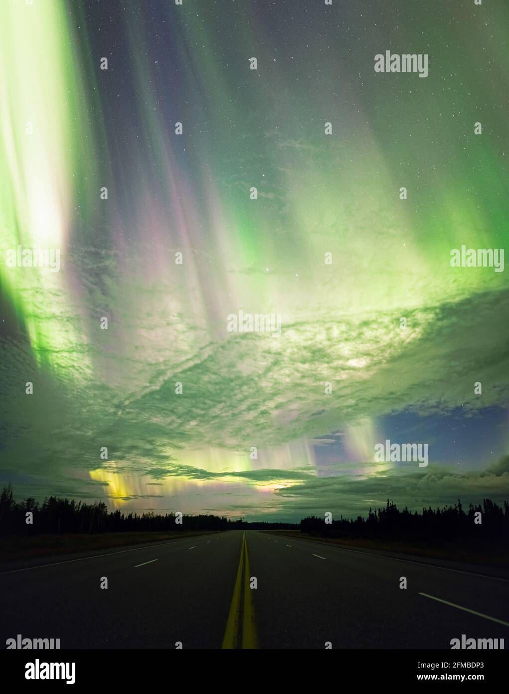 Auroras over the road to Denali! Autumn auroras at full force! Stock Photo