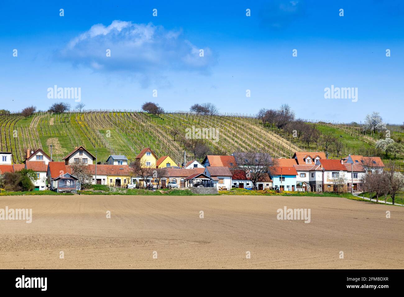 Kraví Hora, Vinařská obec Bořetice,Slovacko, Morava, Ceska republika / Kravi  hora, Winery village Boretice, South Moravia, Czech republic Stock Photo -  Alamy