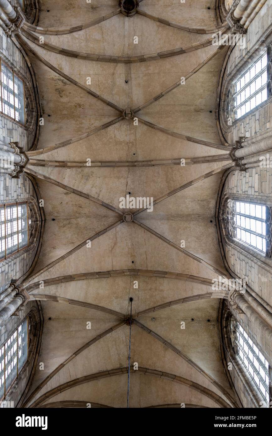 Germany, Saxony-Anhalt, Halberstadt, vaulted ceiling of the Halberstadt cathedral St. Stephanus and St. Sixtus, Gothic cathedral. Stock Photo