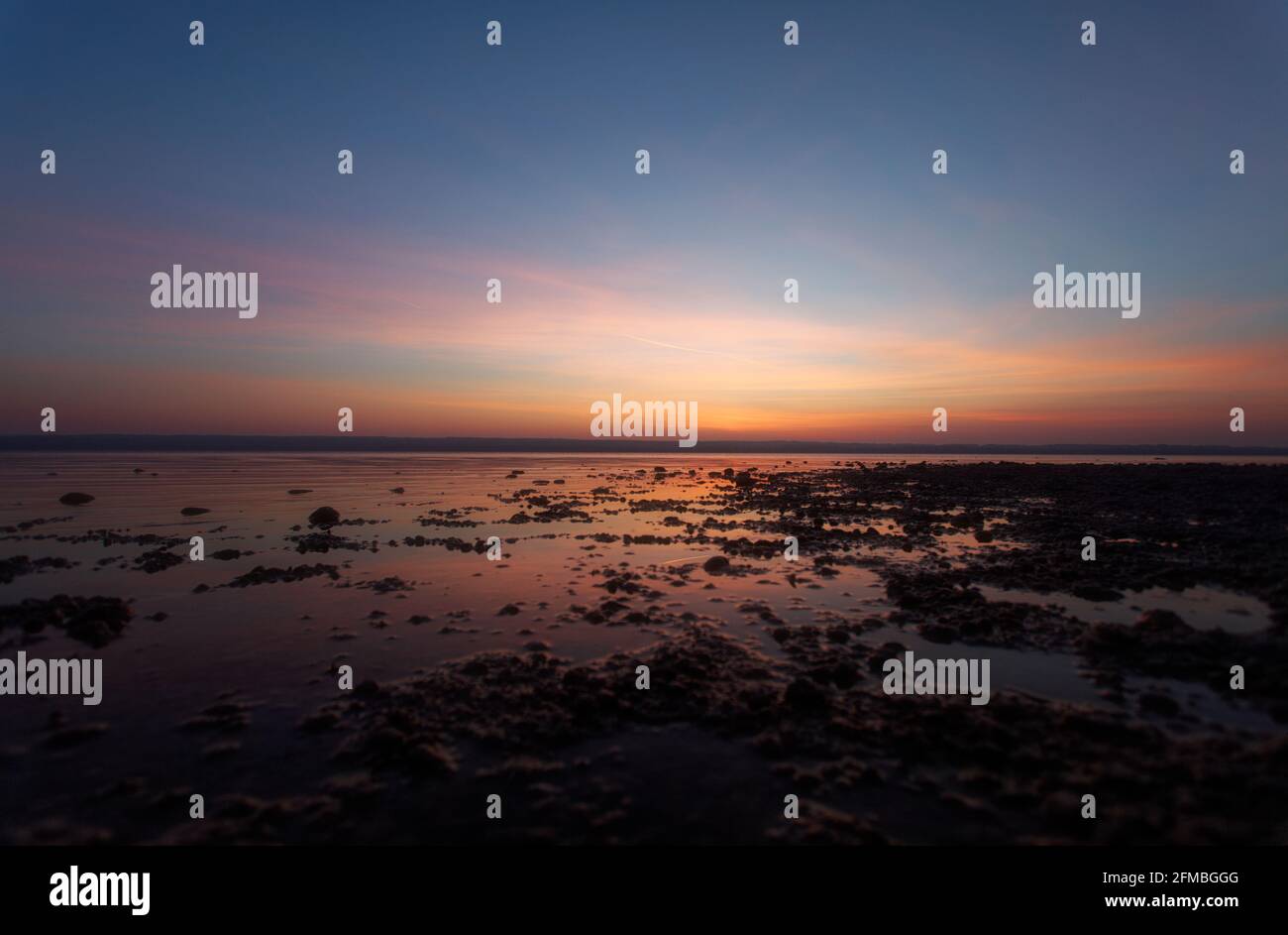 Ammersee nature reserve in the morning Stock Photo