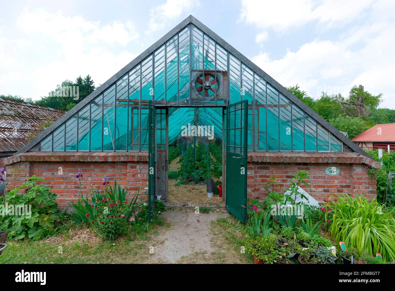 Greenhouse of a nursery Stock Photo Alamy
