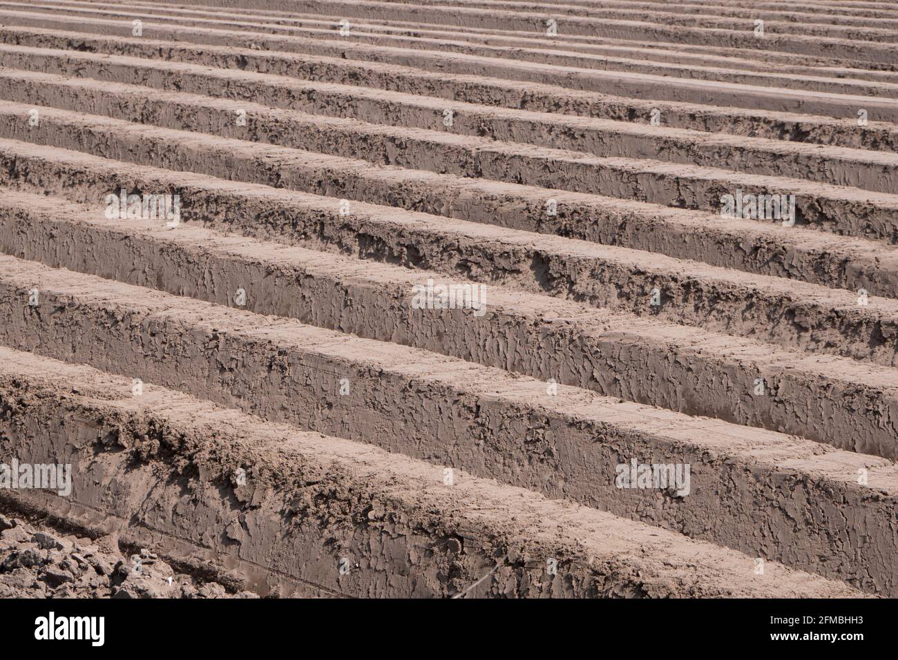 Plowed land in the spring, arable farming Stock Photo