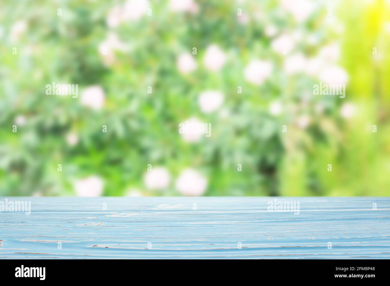 Blue wood table top on blur bush with flowers background Stock Photo