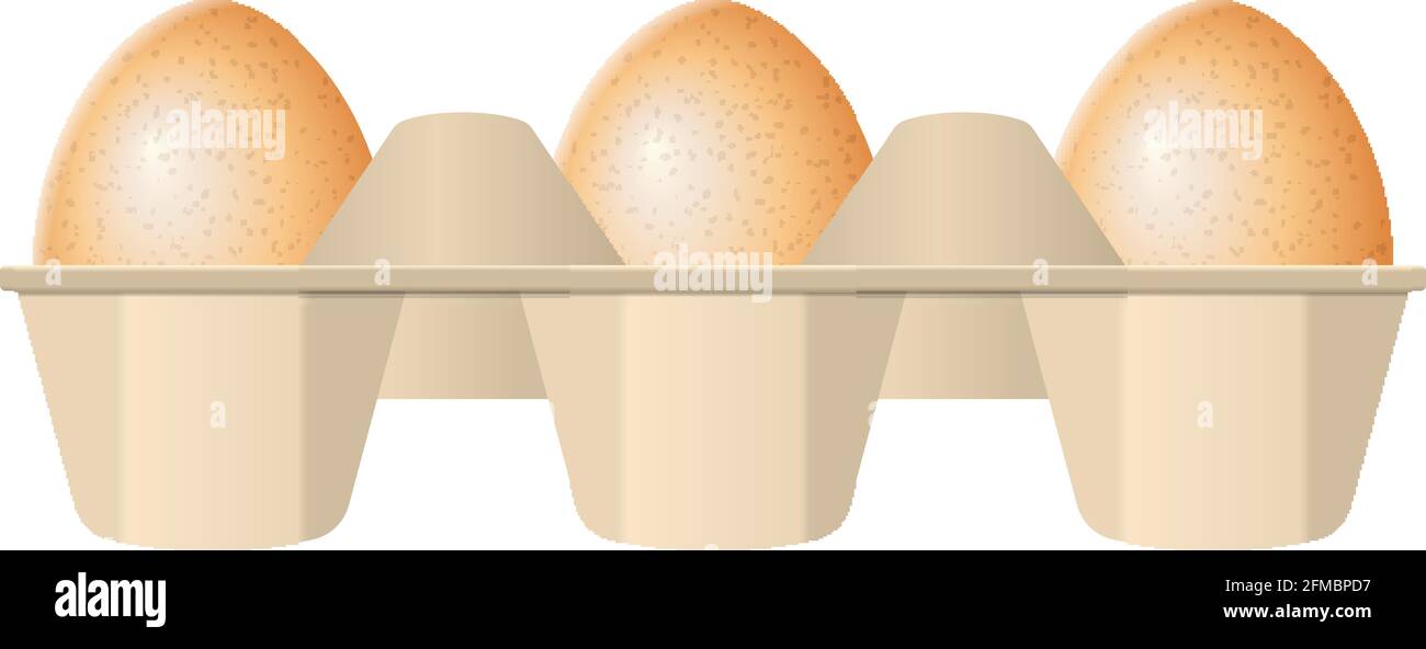 Eggs in carton box on a white background. Stock Vector