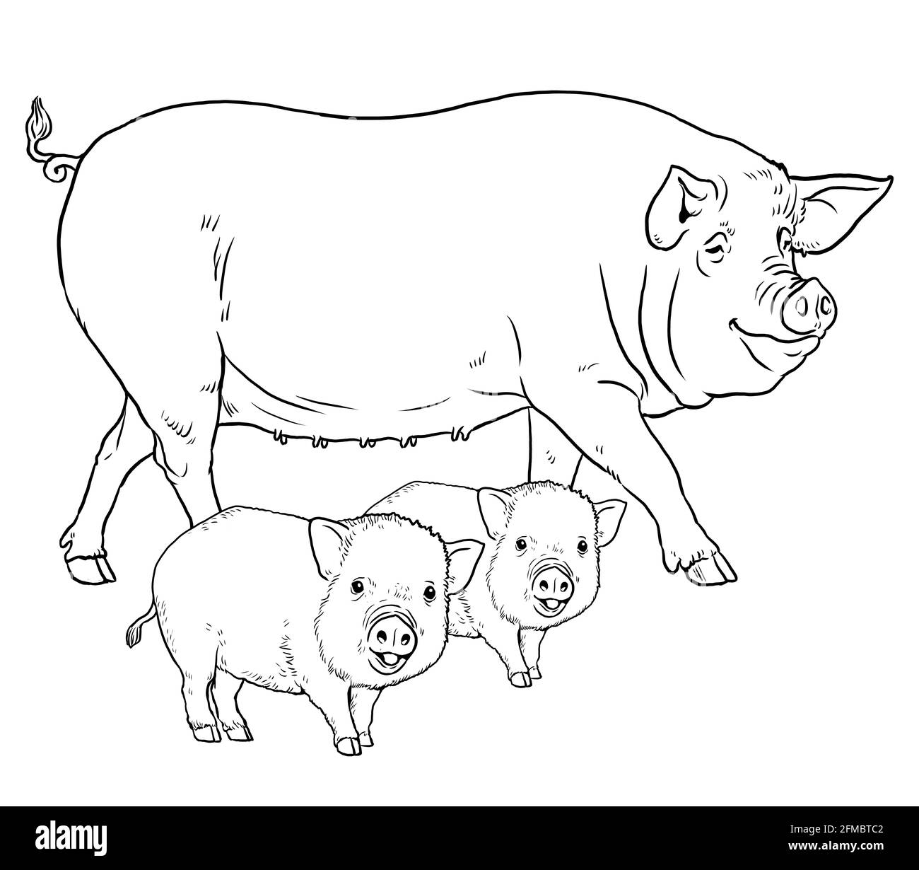 Coloring page with the animals. Pig with piglets for coloring. Digital drawing. Stock Photo
