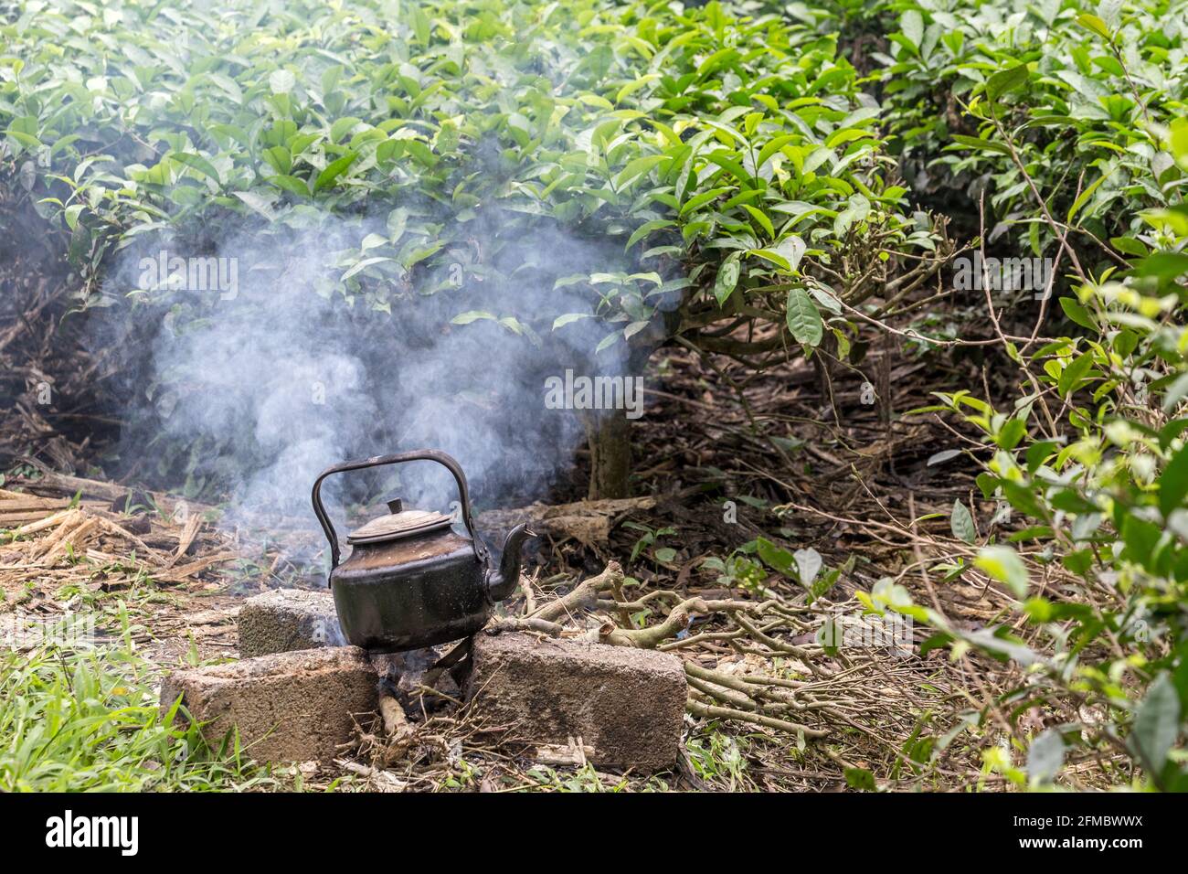 Boiling teapot in Tea Plantation, Thanh Son county, Vietnam Stock Photo
