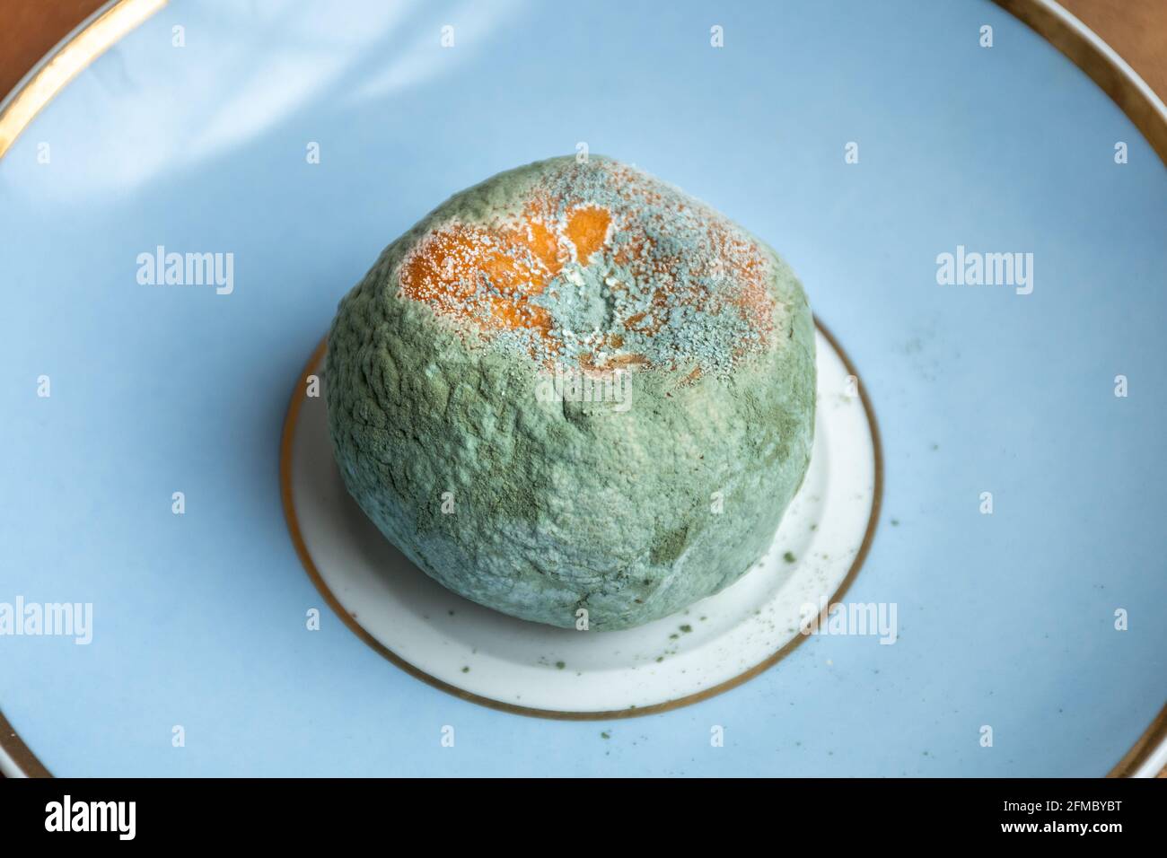 Mouldy satsuma or clementine, moldy fruit, on a saucer Stock Photo