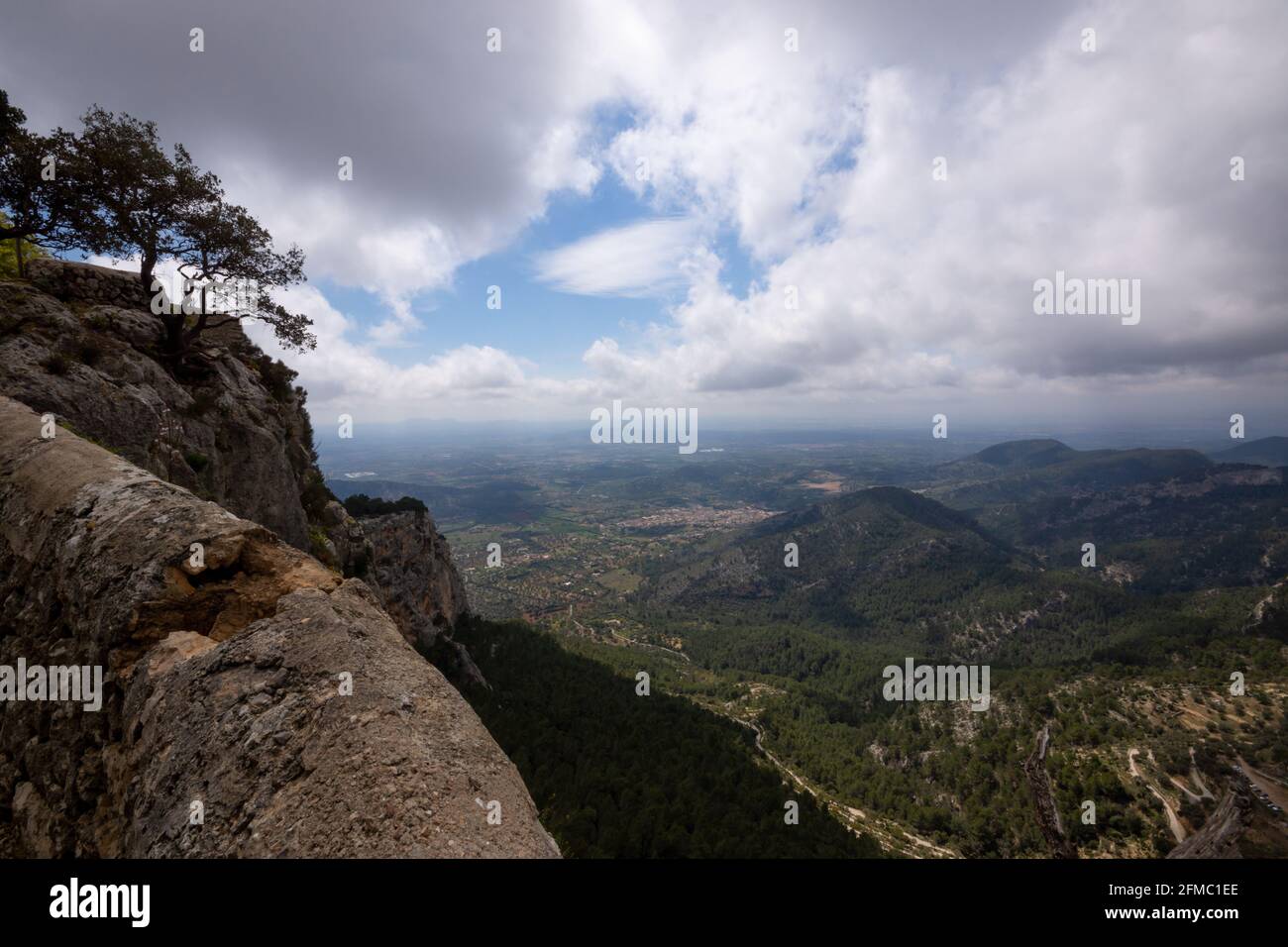 Panoramic view with pine tree from Puig d'Alaro on the Spanish island Majorca Stock Photo