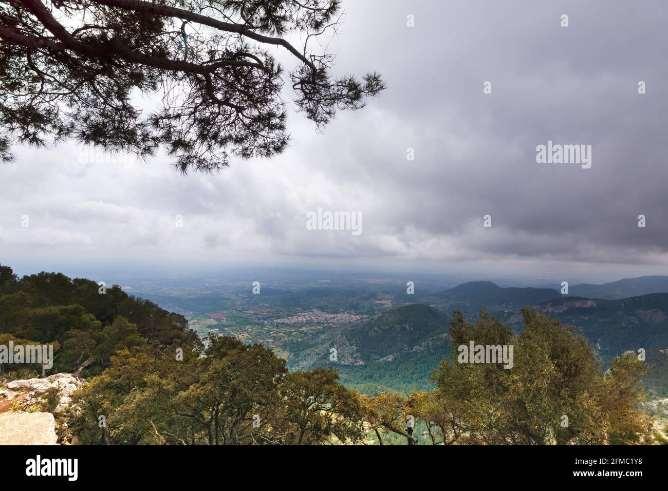 Panoramic view with pine tree at Puig d'Alaro on the Spanish island Majorca Stock Photo