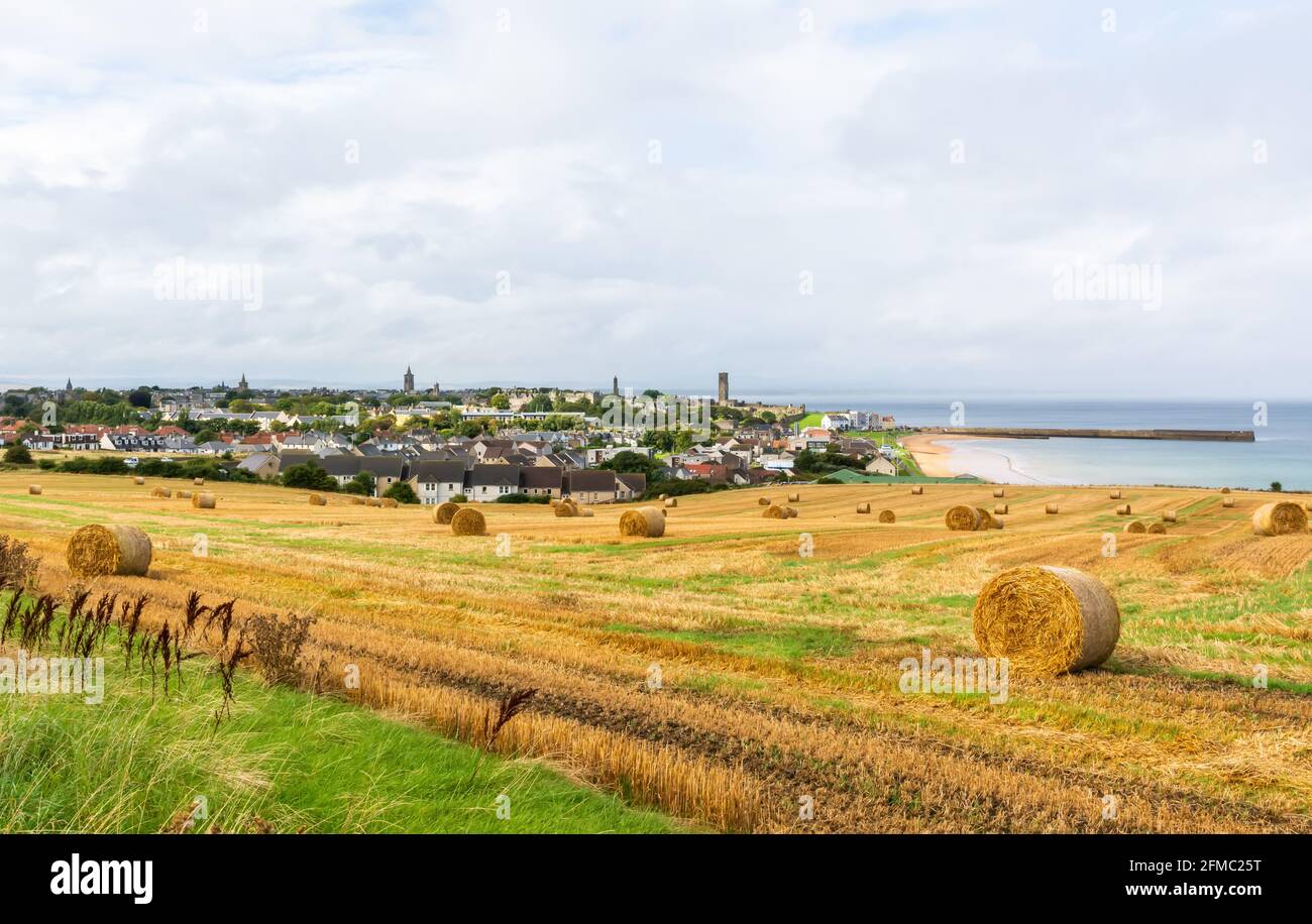 View over St Andrews town on the east coast of Fife in Scotland. View with large hay bales in the foreground. Stock Photo