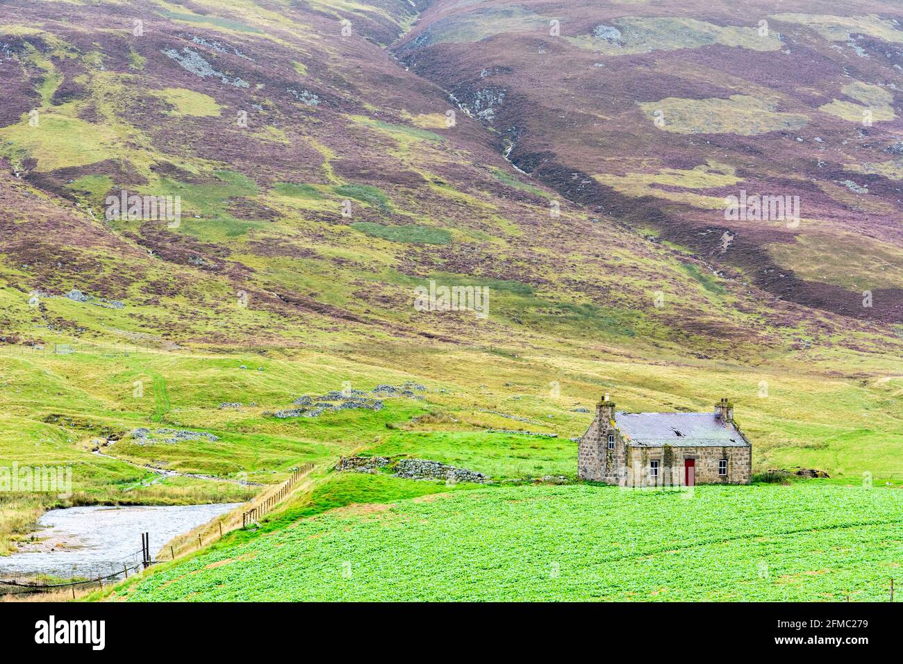 Landscape in Cairngorms National Park in Central Highlands of Scotland