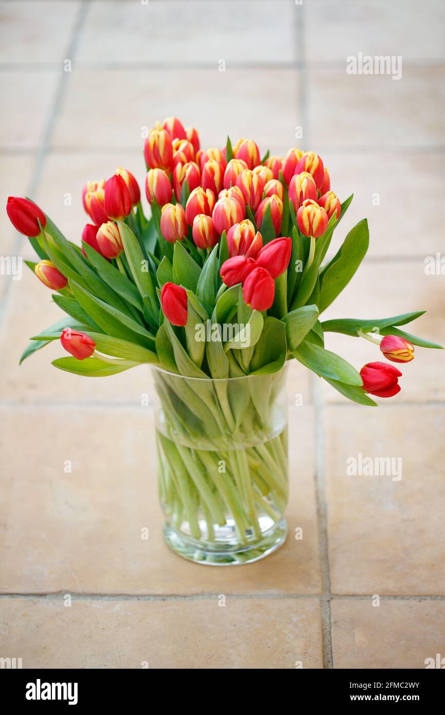 Big bouqet of red tulips in a vase Stock Photo - Alamy