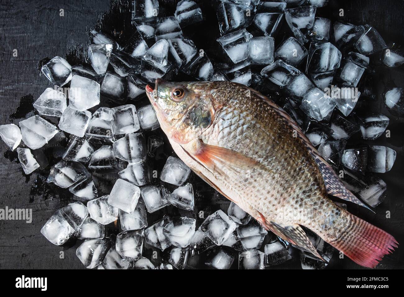 Fresh fish on the ice Stock Photo