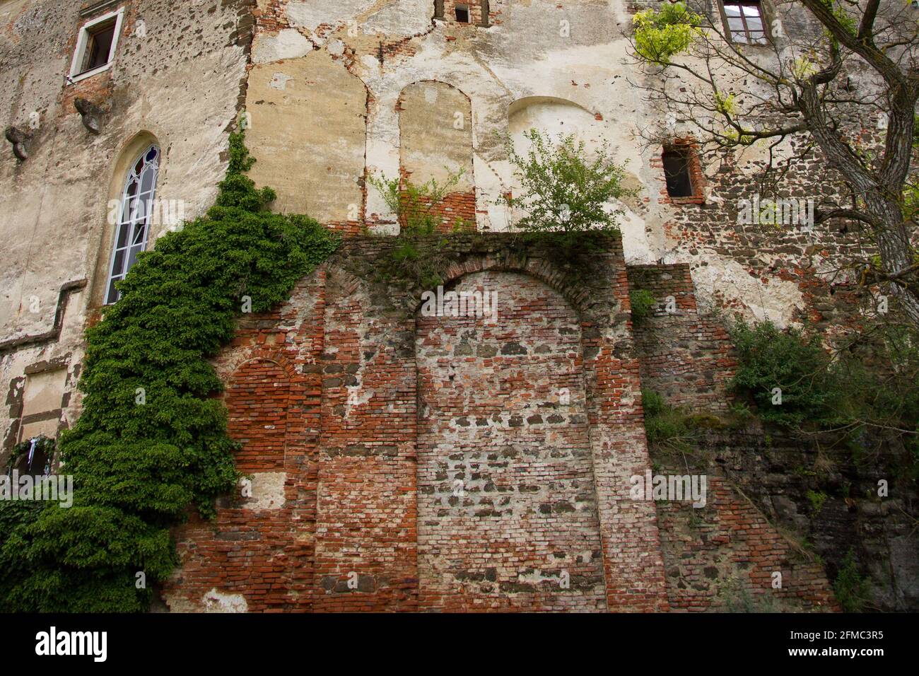 View of the old overgrown castle wall. Güssing castle, Southern Burgenland, Austria Stock Photo
