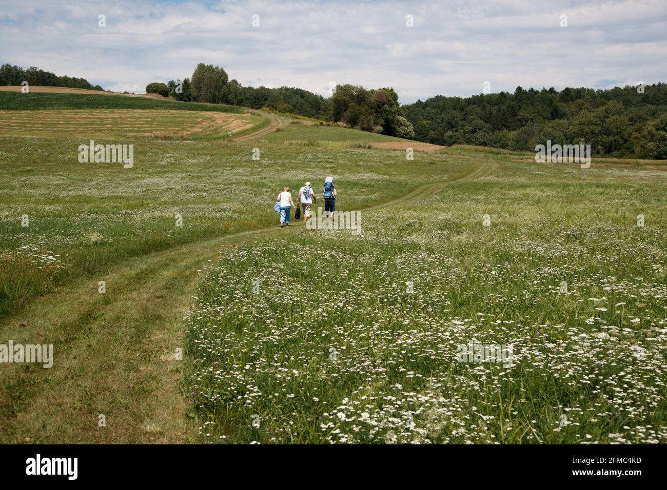 Resting outdoor. Group of family members is walking in the field.  Zickental, Rohr, Southern Burgenland, Austria Stock Photo
