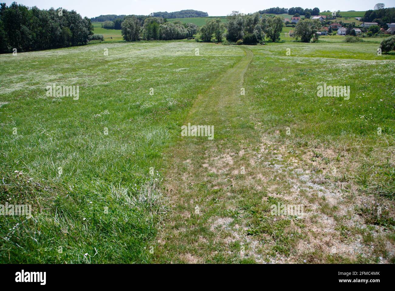 Scenic view of the meadow in Zickental, Rohr, Southern Burgenland, Austria Stock Photo