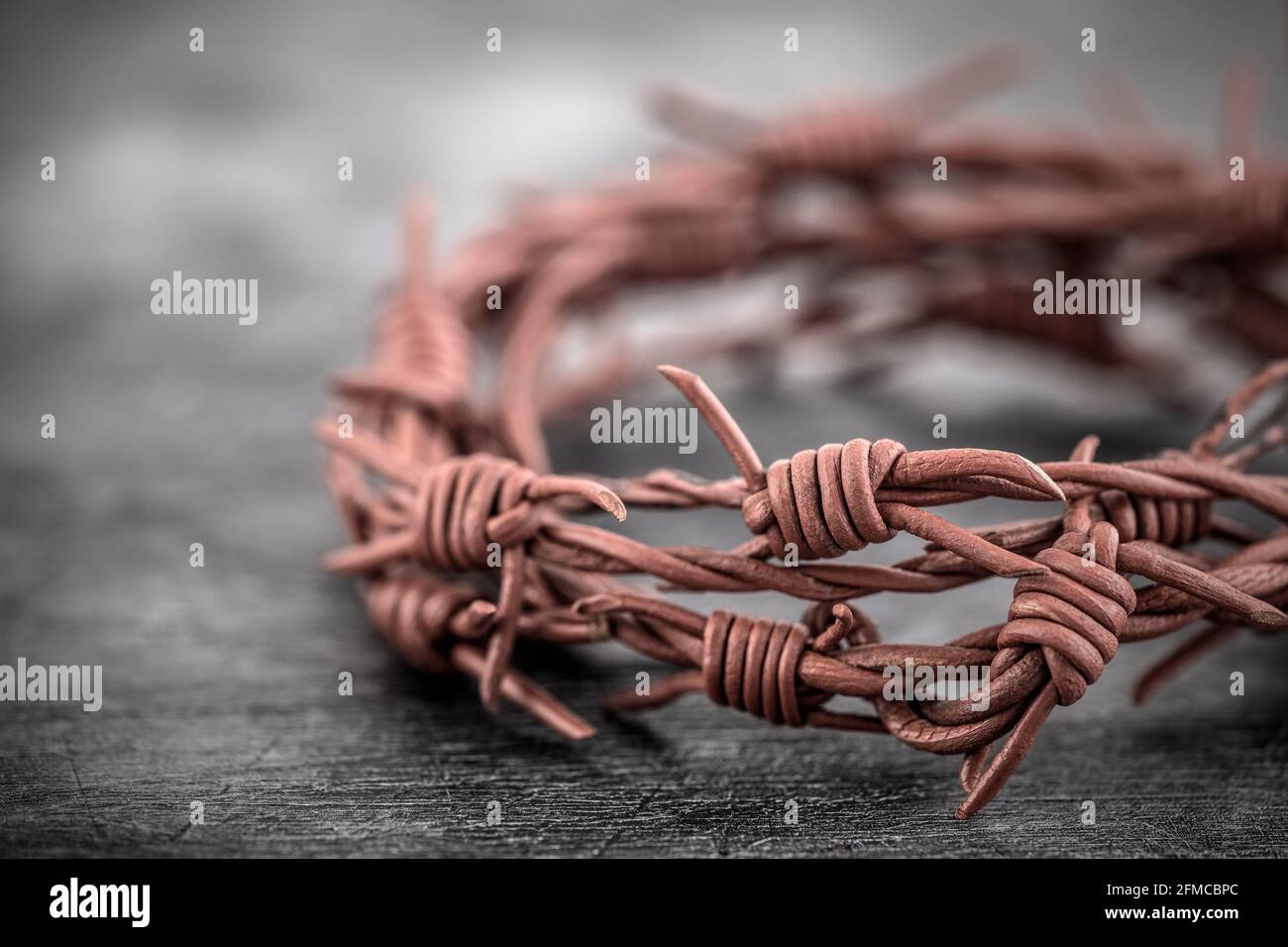 Barbed wire crown of thorns macro shot Stock Photo Alamy