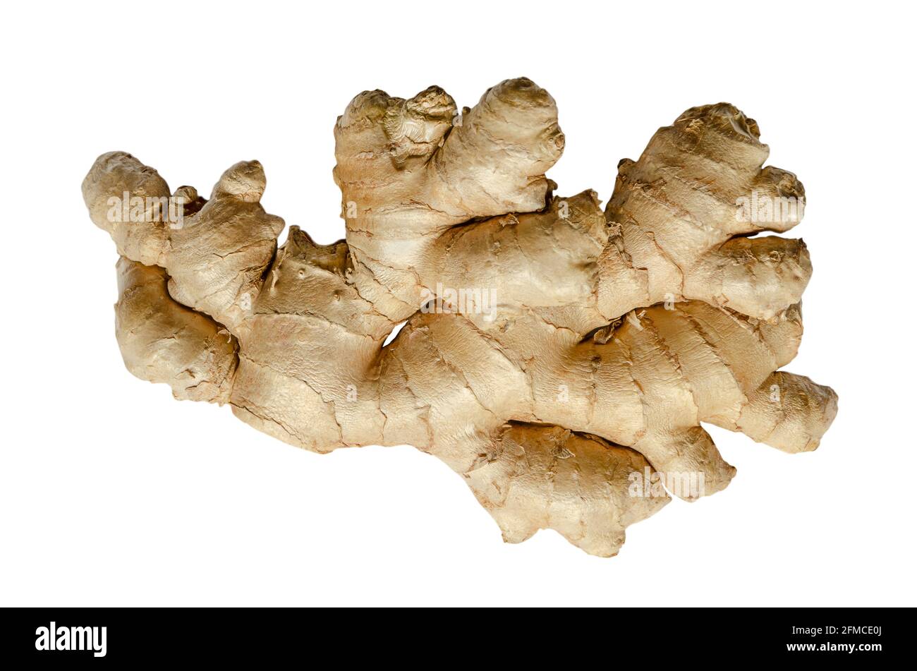 Fresh ginger root, from above, isolated on white background. Juicy and fleshy rhizome of Zingiber officinale, used as fragrant kitchen spice. Stock Photo