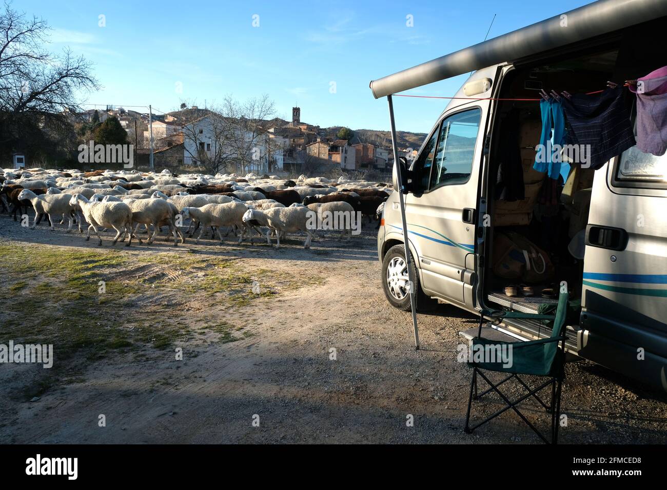 Aire camping in a motorhome as a flock of sheep pass by outside the village of Torrebaja, Valencia, Spain Stock Photo