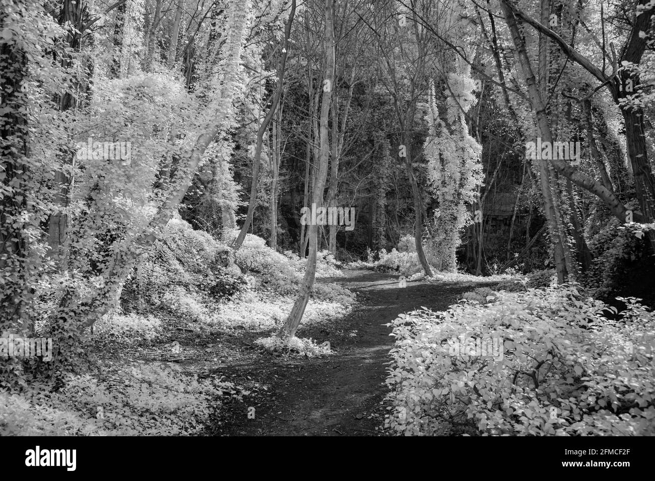 Where Is The Pathway Going Stock Photo Alamy