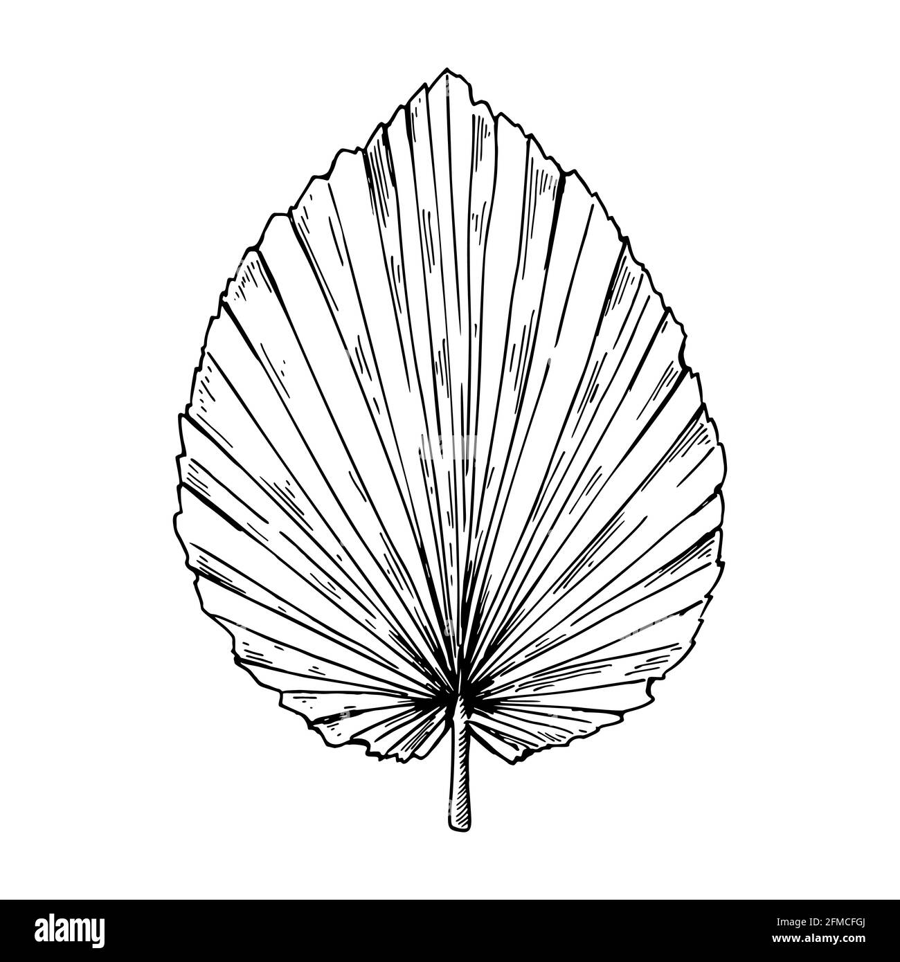 Exotic seaside Black and White Stock Photos & Images - Alamy
