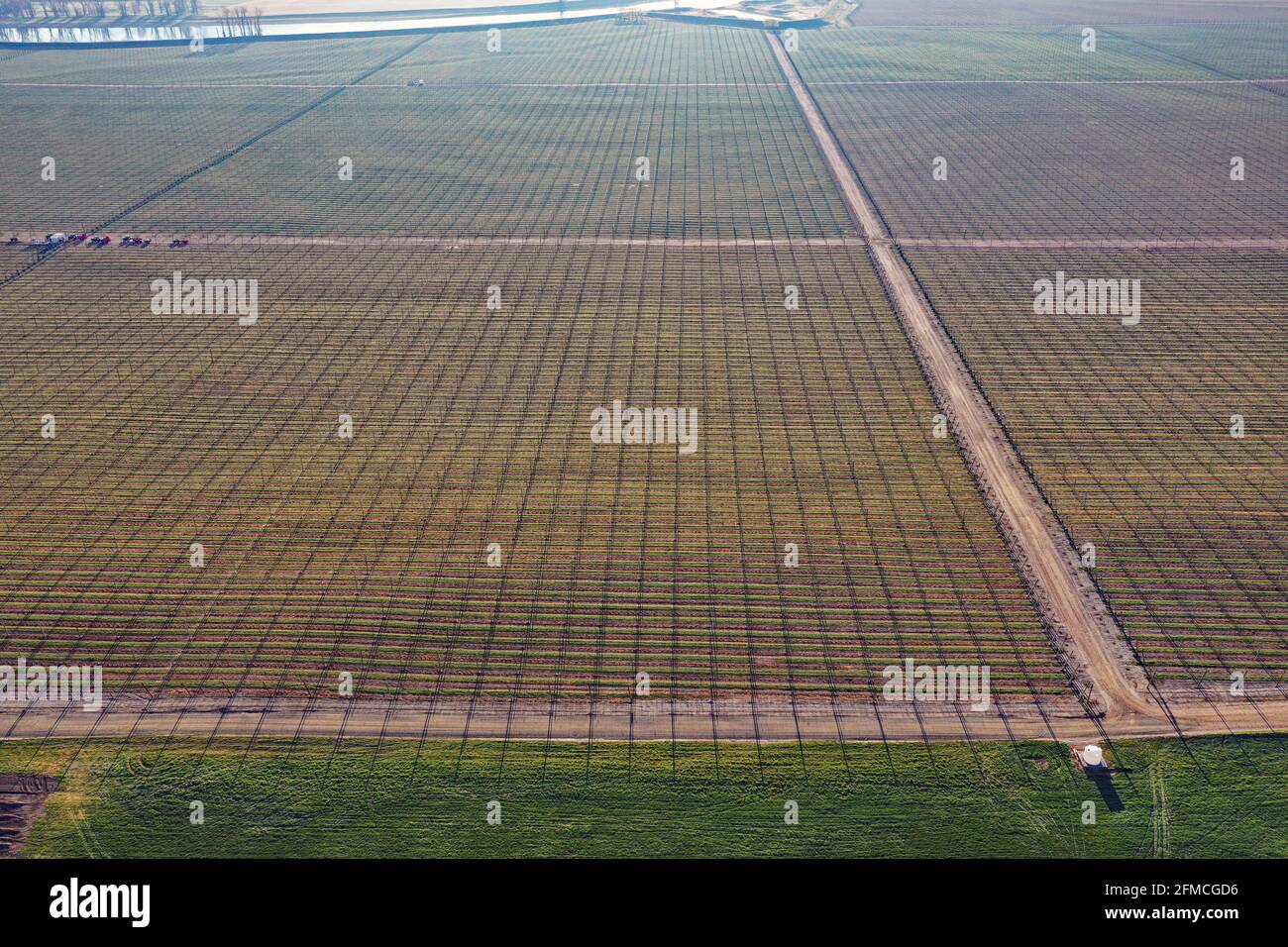 Elk Mountains Farms, Anheuser-Busch hop farm along the Kootenai River. Boundary County, North Idaho. (Photo by Randy Beacham) Stock Photo