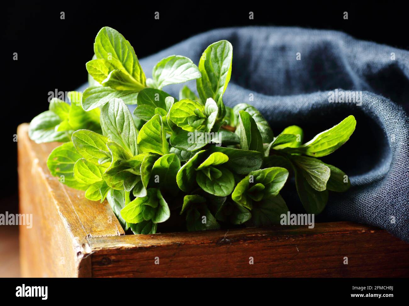 Fresh mint herb and linen textile on dark moody wooden rustic background, closeup, copy space, natural medicine, naturopathy, drinks for sleep and ene Stock Photo