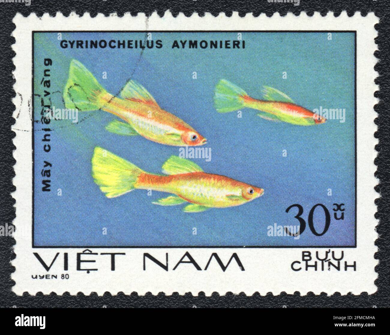 A postage stamp shows a Aquarium fishes (Gyrinocheilus aymonieri),  series 'Aquarium Fish', Vietnam, 1980 Stock Photo