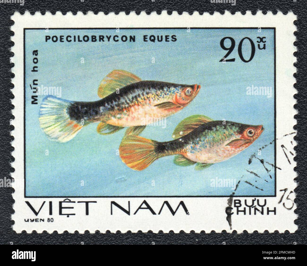 A postage stamp shows a Aquarium fishes Brown pencilfish (Poecilobrycon eques),  series 'Aquarium Fish', Vietnam, 1980 Stock Photo
