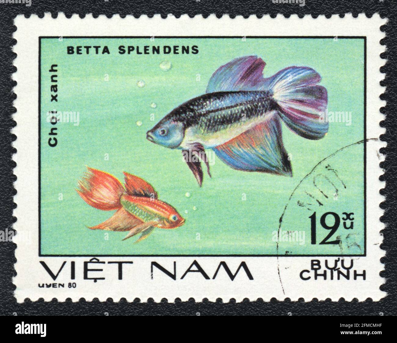 A postage stamp shows a Aquarium fishes Siamese fighting fish (Betta splendens),  series 'Aquarium Fish', Vietnam, 1980 Stock Photo