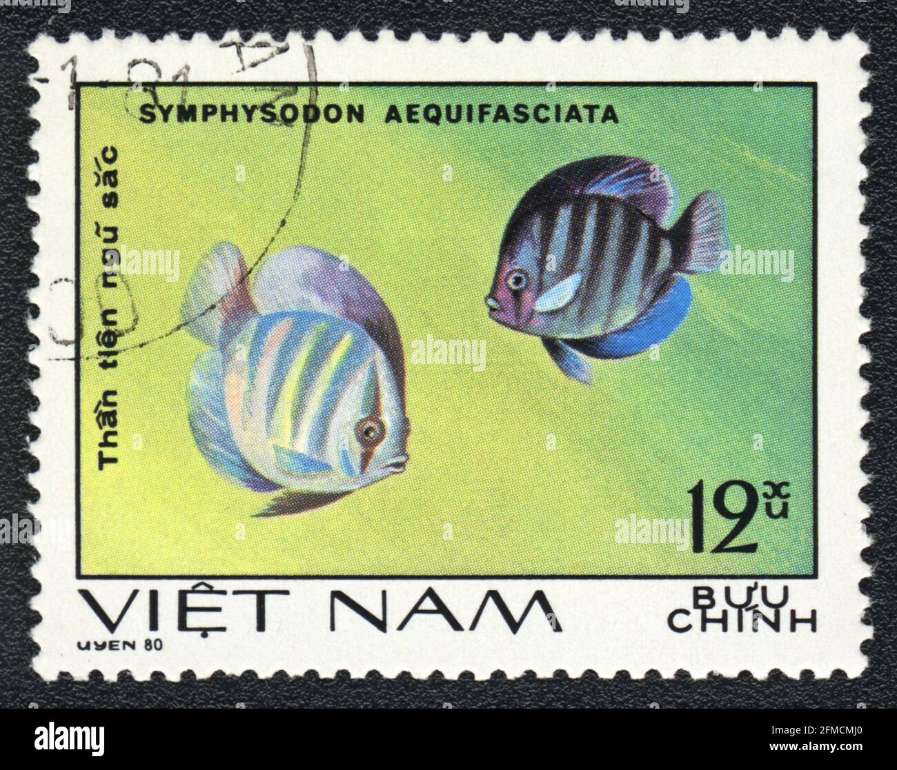 A postage stamp shows a Aquarium stripped fishes  Discus (Symphysodon aequifasciata),  series 'Aquarium Fish', Vietnam, 1980 Stock Photo