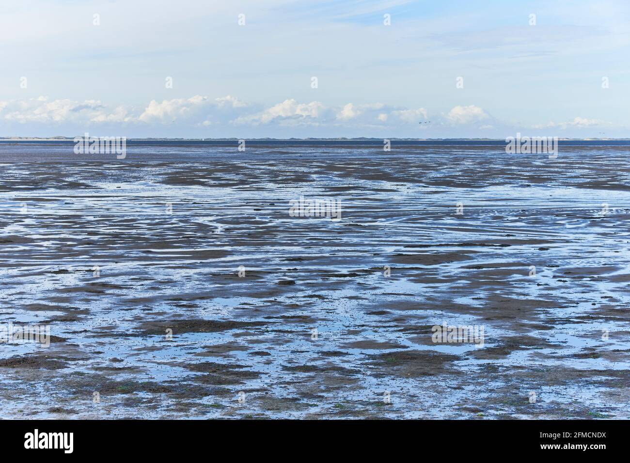 View over Wadden Sea near Foehr Island at low tide with Amrum Island in the  distance Stock Photo - Alamy