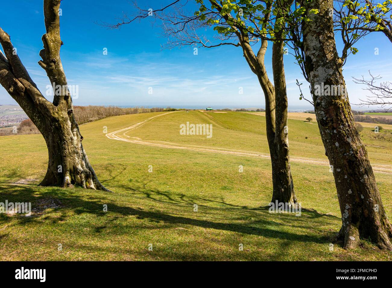 The South Downs Way heading south east as viewed from the ramparts of Chanctonbury Ring in the South Downs National Park, West Sussex, UK. Stock Photo