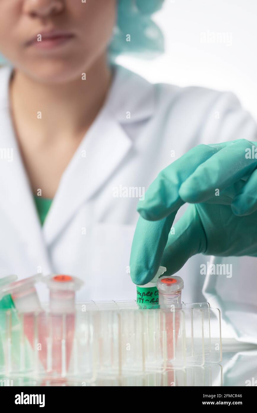 Pharma female tech works in laboratory. Unrecognisable Caucasian woman, young adult in protective gloves, hat and white gown handles sample tube Stock Photo