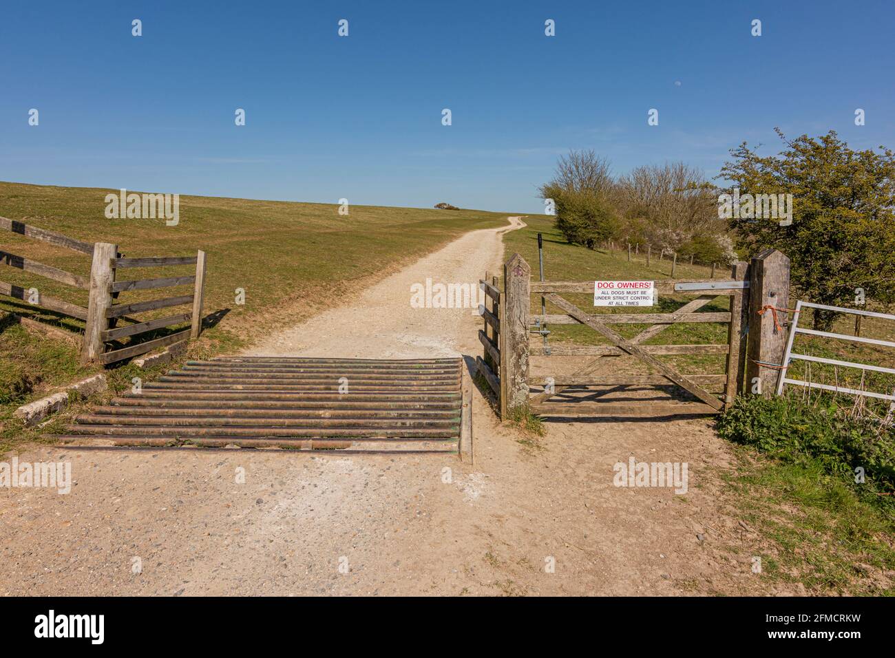 The South Downs Way as it enters the location of Chanctonbury Ring in the South Downs National Park, West Sussex, UK. Stock Photo