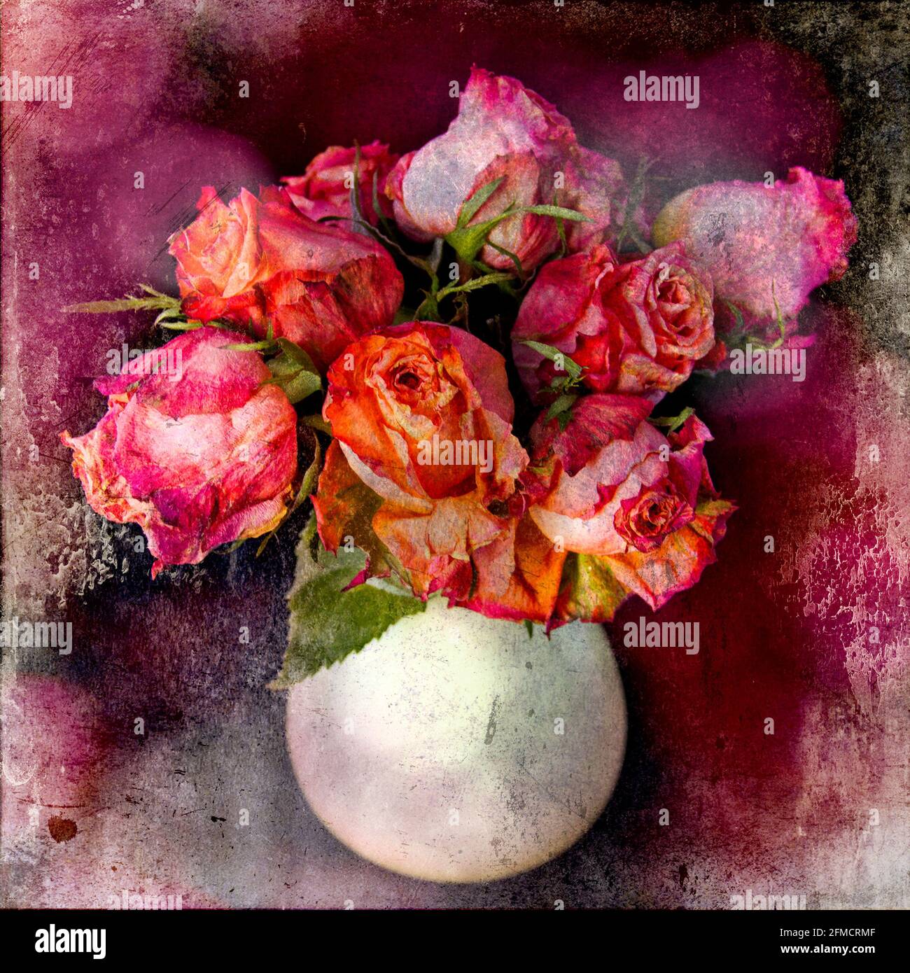 Dying Roses in a white vase / Still Life © Clarissa Debenham / Alamy