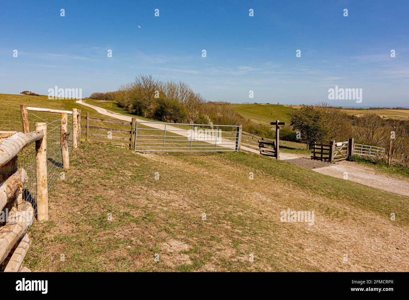 The South Downs Way as it enters the location of Chanctonbury Ring in the South Downs National Park, West Sussex, UK. Stock Photo