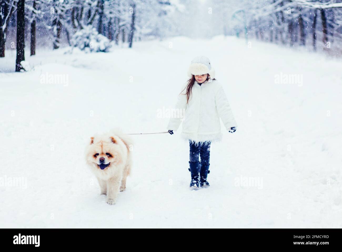 Teen girl walking dog hi-res stock photography and images - Alamy