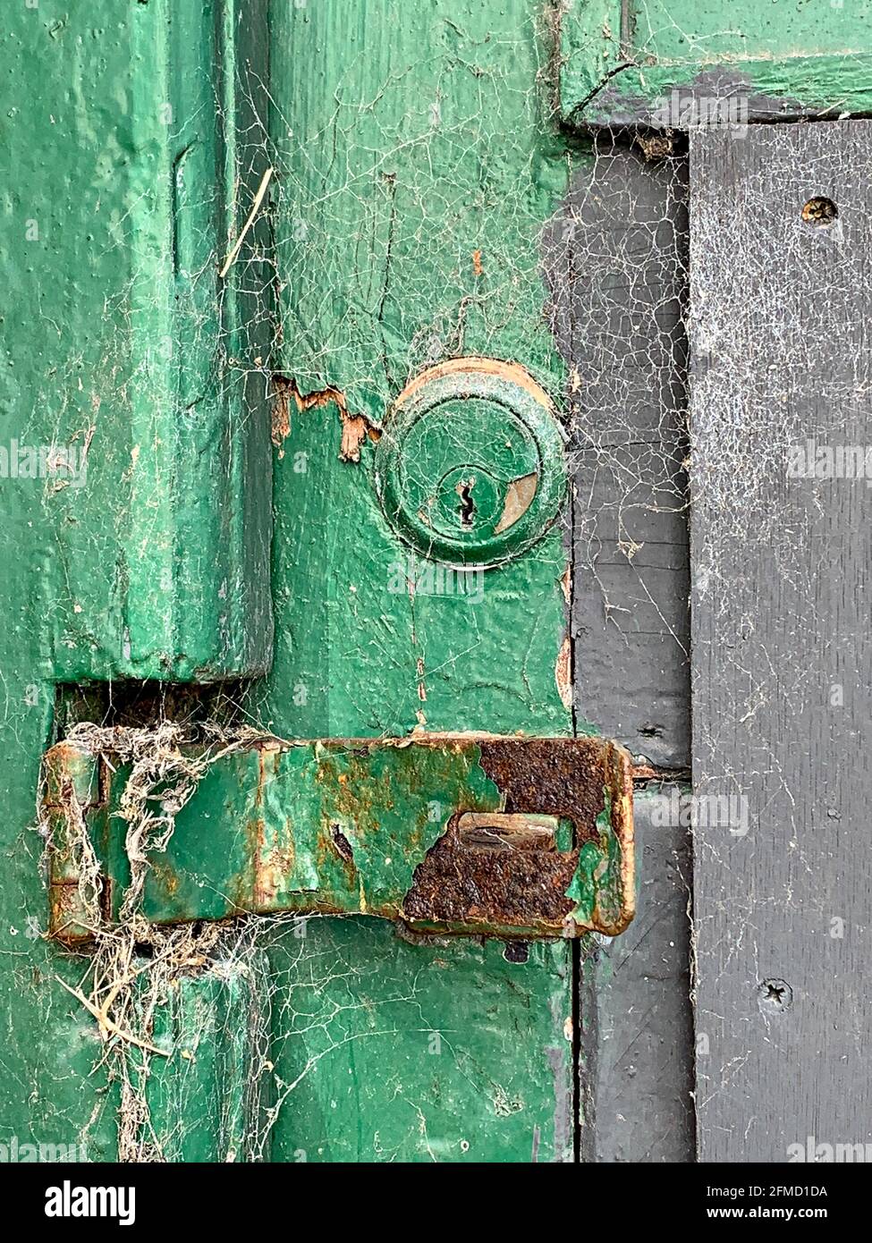 Green painted wooden doorway with security hasp, staple and key lock rim cylinder Stock Photo
