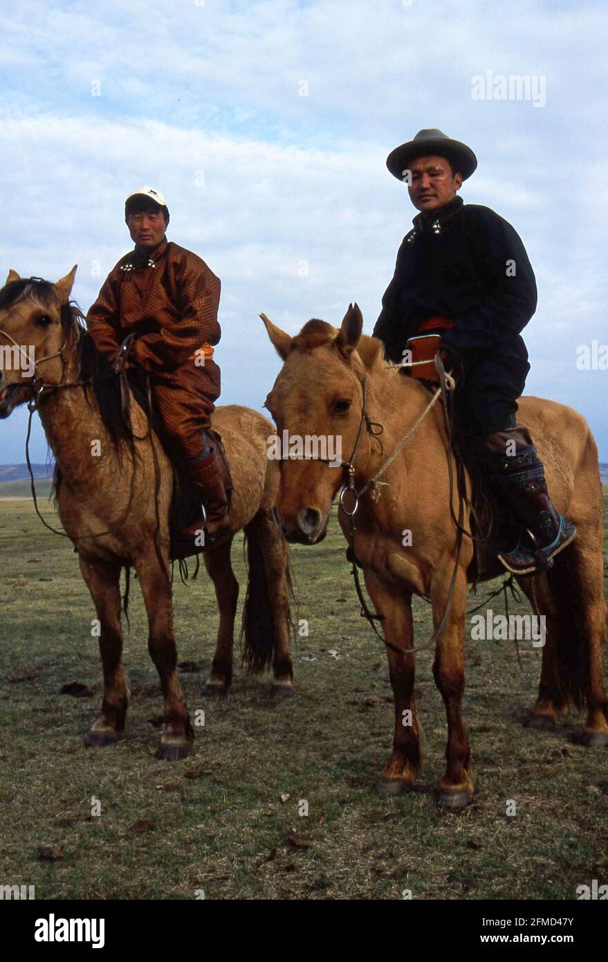 Mongolian nomads on the move in the steppe Stock Photo - Alamy