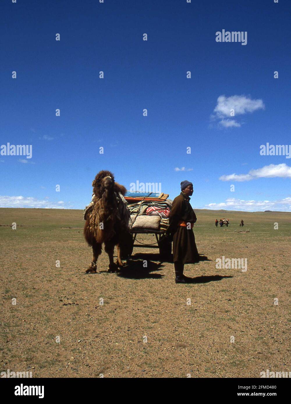 Mongolian nomads on the move in the steppe Stock Photo - Alamy