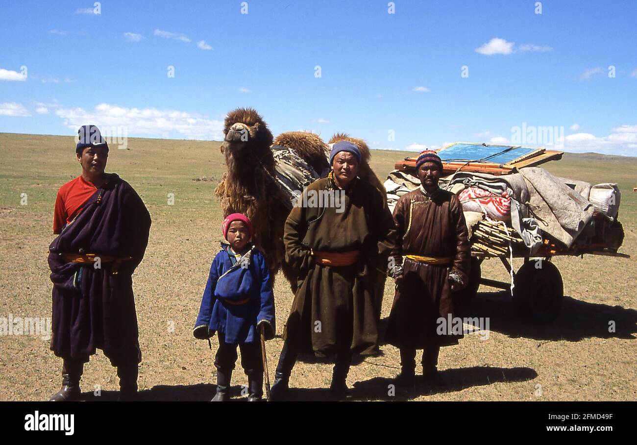 Mongolian nomads on the move in the steppe Stock Photo - Alamy, image size:1300x908