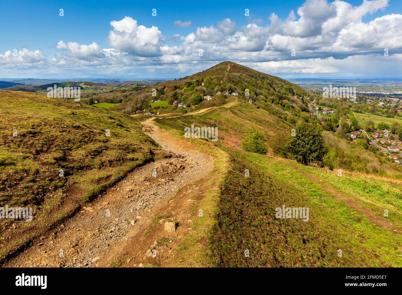 Along the Shire Ditch on Perseverance Hill towards the Worcestershire Beacon in the Spring, Malverns, Worcestershire, England Stock Photo