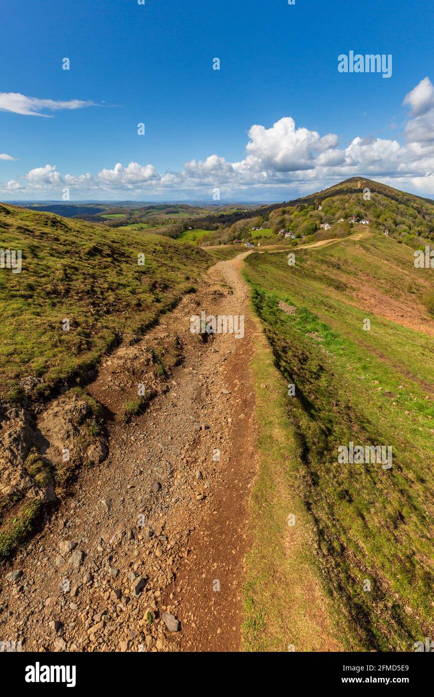 Looking north along the Shire Ditch on Perseverance Hill towards the Worcestershire Beacon in the spring, Malverns, Worcestershire, England Stock Photo