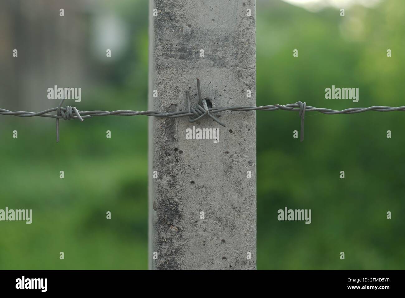 A cement posts for fixing barbed wire Stock Photo Alamy