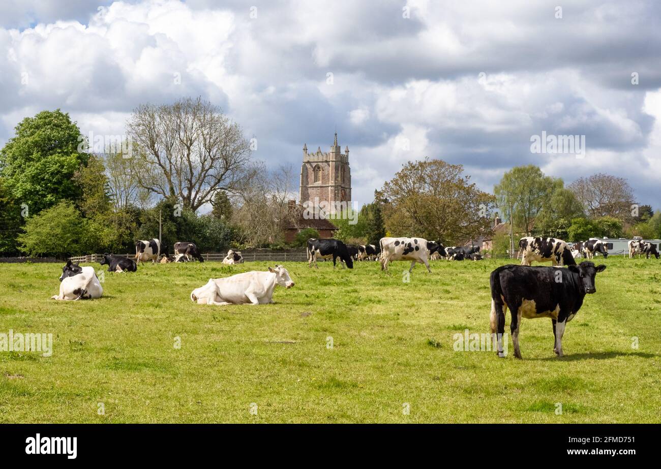 Long ashton hires stock photography and images Alamy