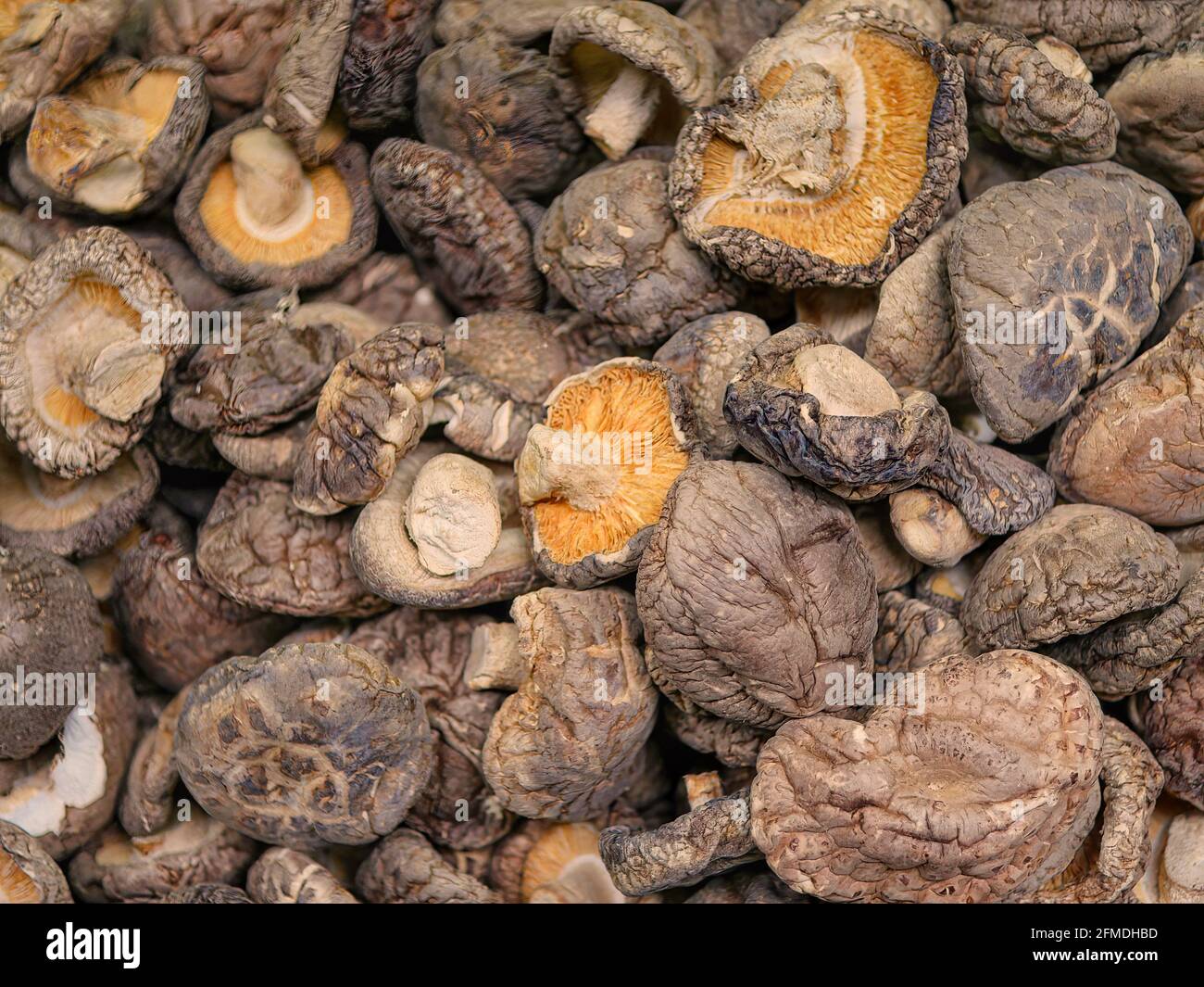 Dried shiitake mushroom is commonly used as a healthy food ingredient