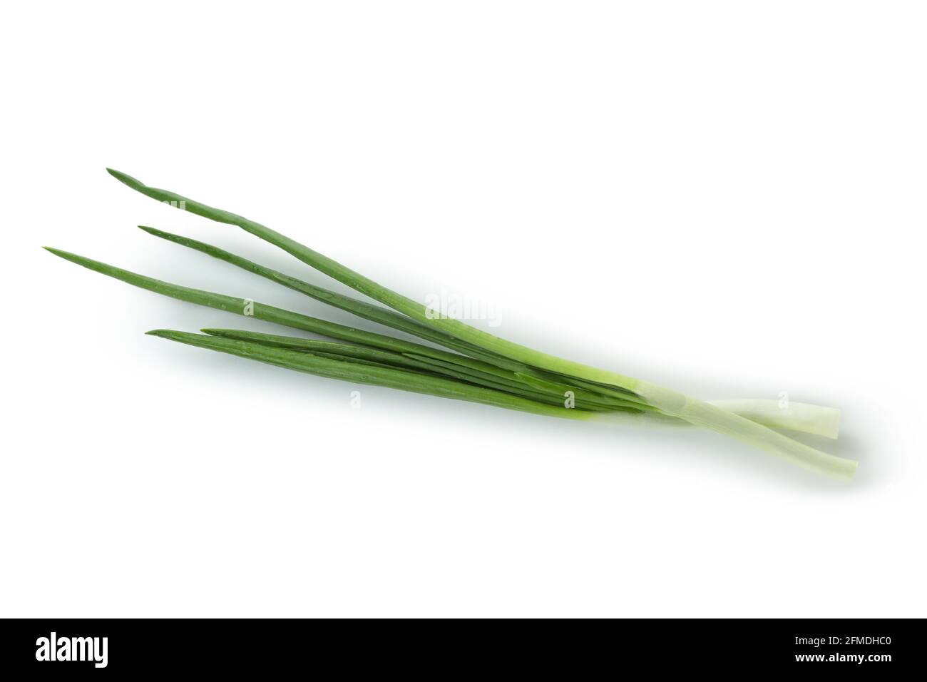 Fresh green onion isolated on white background Stock Photo - Alamy